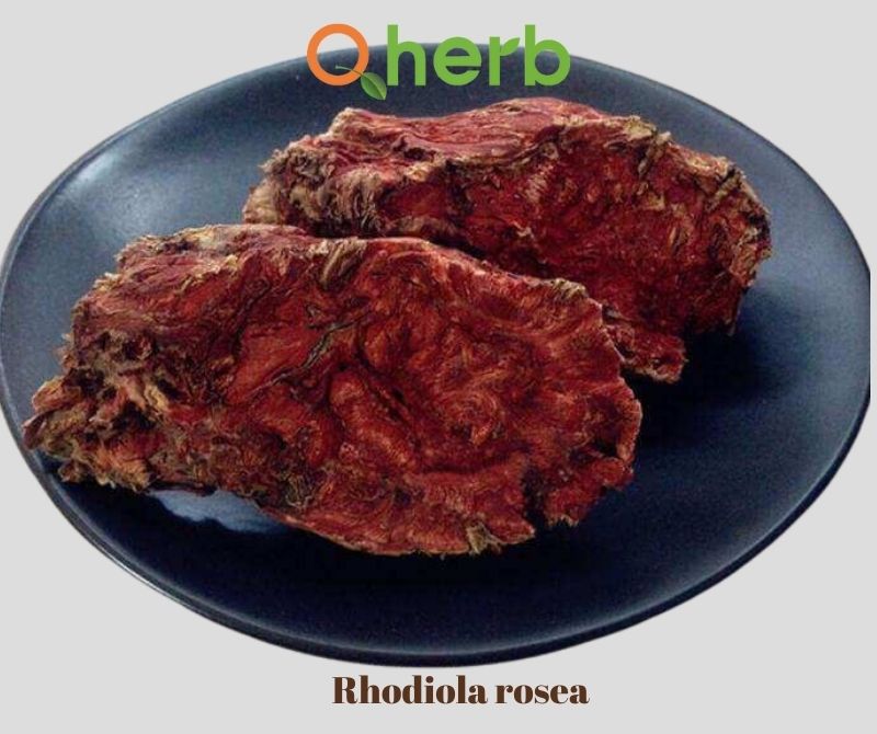 Rhodiola rosea extract 