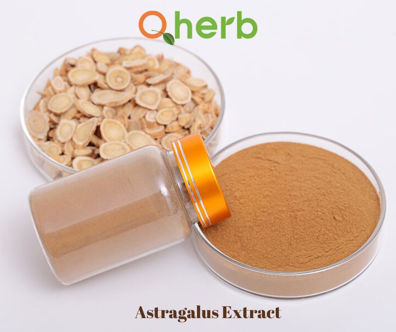 Astragalus Extract