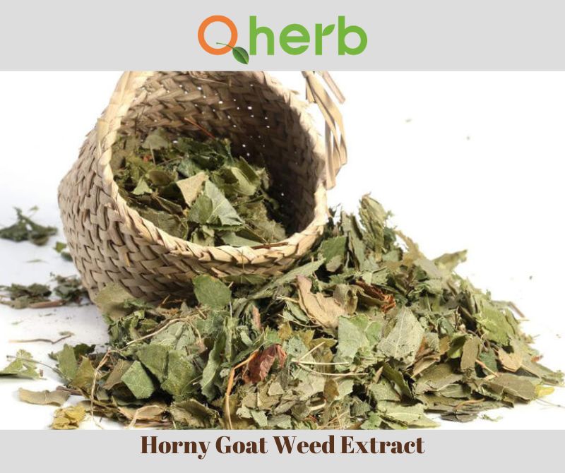 Horny Goat Weed Extract