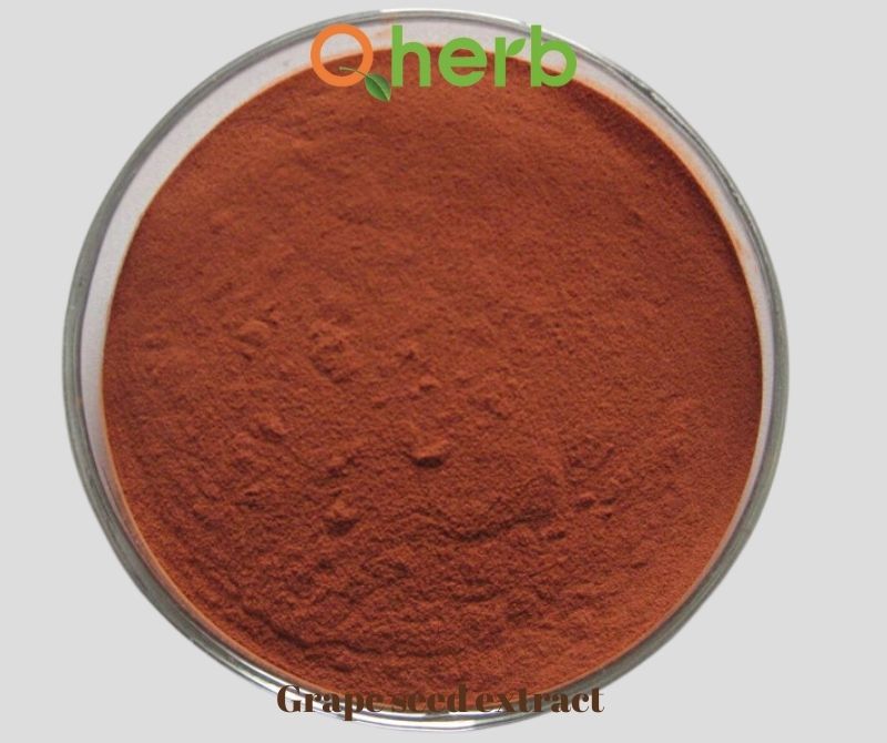 Grape seed extract 