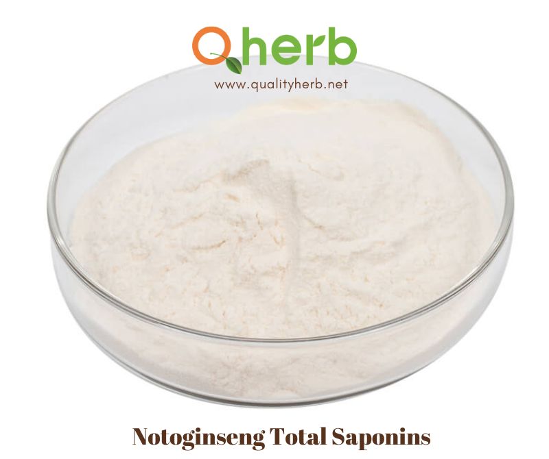 Notoginseng Total Saponins