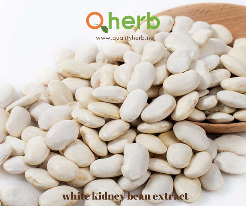 white kidney bean extract