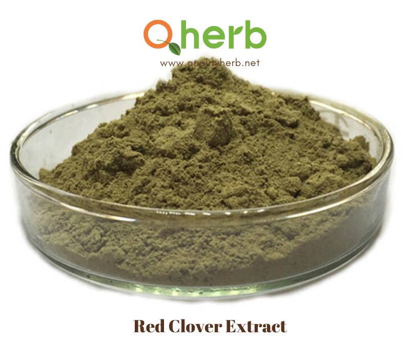 Red Clover Extract