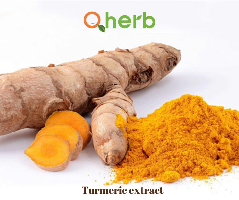 turmeric extract