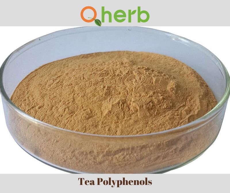 Tea Polyphenols