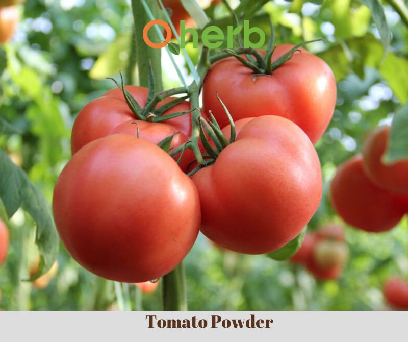 Tomato Powder