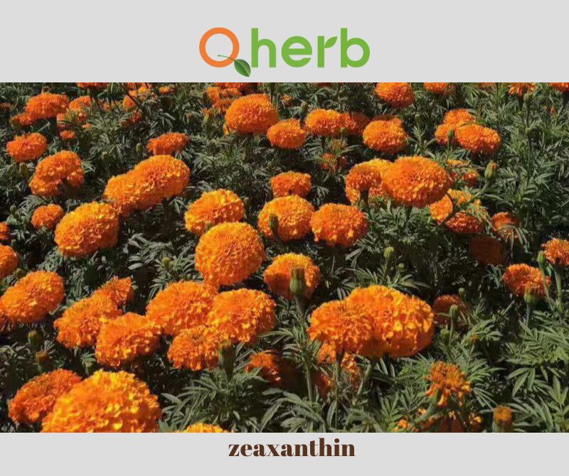 zeaxanthin