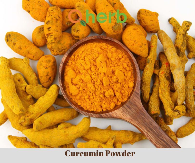 Curcumin Powder