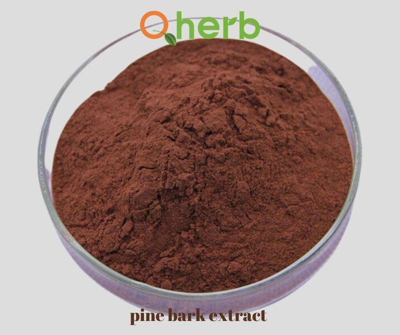 pine bark extract