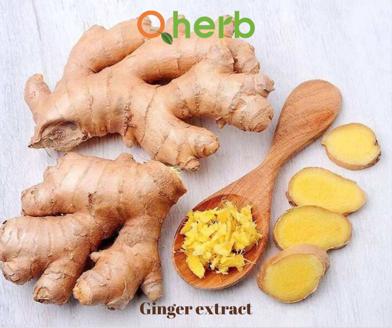 Ginger extract