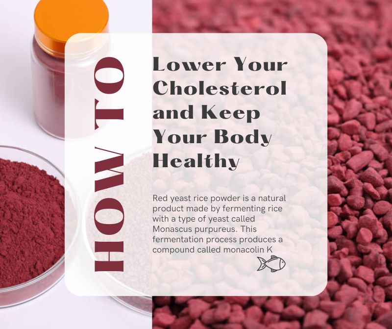 Red Yeast Rice Powder monacolin K