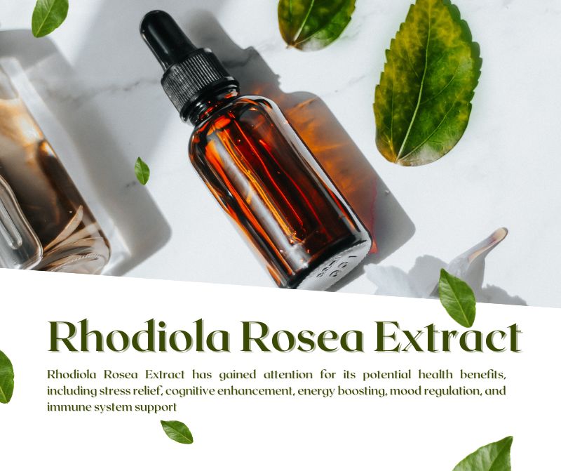 Rhodiola Rosea Extract