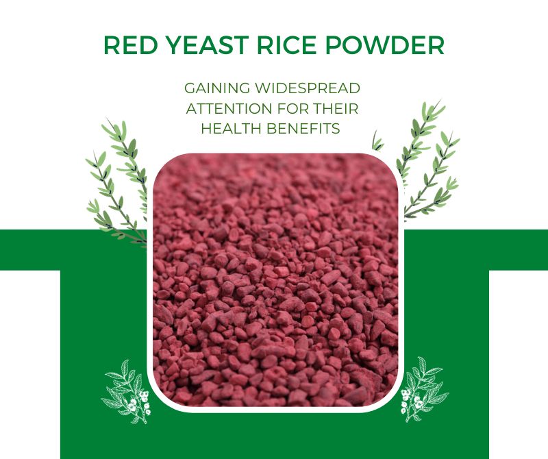 red yeast rice powder